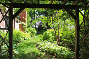 30 - side yard with arbor